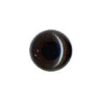 Eye, Dark Brown 9mm